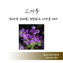 소래풀 1kg 소래풀씨 소래풀종자 소래풀씨앗