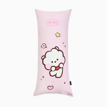 BT21 미니니 알제이 바디필로우