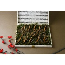 강원 진삼애 산양삼 7-8년근 10뿌리, 없음