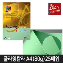 삼원특수지 칼라복사지 플라잉칼라80g (25매입) 40종 모음(선택구매), P-27(어린풀색)