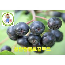 (달농 로컬푸드) 국내 최초 온라인 전문 로컬푸드 농부 재배 당일 발송 무공해 천연 아로니아 착한가격 생과 500g 분말100g(3병) 효소액 500ml (만족도100% ), 생과500g(3팩)