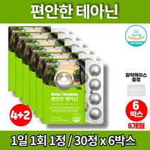 엘테아닌 THEANINE 직장인 스트레스 릴렉스 알파파 수험생 청소년 중학생 고등학생 고3 대학생 발표 긴장 영양제 GLM 청사과 멘톨 자일리톨, 6박스