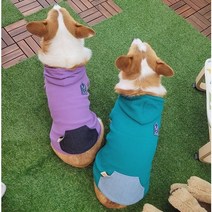 뛰뛰하우스 자체제작 강아지 후드티 국내생산 중형견 대형견 XL~5XL, 바이올렛