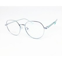 트랜디온 고퀄리티 베타티타늄 실버 뿔다리 안경테