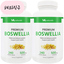 2병 마이라이프 내추럴스 보스웰리아 500 mg 240 야채캡슐, 240개, 2개