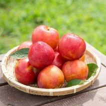 새콤달콤 자두 5kg 대과, 없음