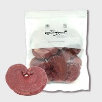 올댓리빙 국내산 원물형 영지버섯 500g, 1개