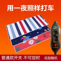 12V 전기장판 DC 캠핑 전기매트 차박 캠핑 카라반 2인용 시가잭, C + 180x70cm