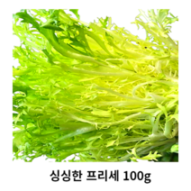 싱싱한 프리세 100g 250g 프리세치커리 프리세채소 프리세야채 프리세프리셰야채 생프리세 샐러드용야채 특수야채 특수채소 꽃상추 치커리 식용 데코용 샐러드 신선한 싱싱한 아삭아삭