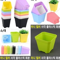 플라스틱화분 대 그린 이쁜화분 야외화분 인테리어화분 대형화분 블루베리화분 소형화분 옥상텃밭 플랜트박스