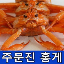 주문진 동해수산 주문진 일반형 홍게 2kg 3kg 당일조업 산지 직배송, 1박스