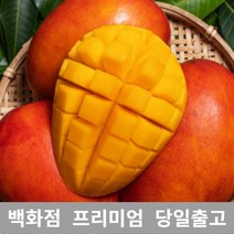 [특등급선별] 애플망고 5kg 제주애플망고 제주도애플망고 제주망고 애플망고선물세트 제주산애플망고 망고선물세트 애플망고선물 과일 과일종류 제철과일 겨울과일 망고쇼핑몰 과일선물 레드망