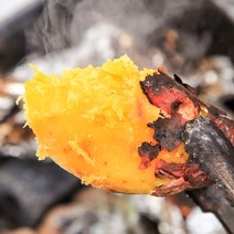 경북 안동 영주 꿀고구마 한입 베로니카 고구마 3kg, 꿀고구마 (중:120g~320g) 3kg