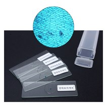 교구 만들기 표피세포 프레파라트 5pcs 과학키트 양파, 선택_단품