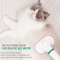애견 강아지 털말리기 펫드라이룸 드라이기