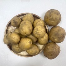 모자농장 포슬포슬 햇 수미감자 2kg~10kg특가, 수미 대 5kg
