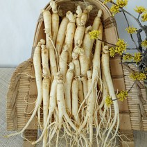 1+1 세척인삼 수삼 4~5년근 원수삼 소 7~10뿌리내외