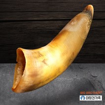빅브라더 소뿔껌 1p 대형견간식 강아지 수제간식 이갈이 치석제거 개껌, 소뿔껌 XL(중/대형견)