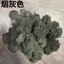 조화센터피스 인조 갈대 화동 바구니 벚꽃 나무 20g 인공 식물 영원한 생명 이끼정원 홈 장식 벽 diy 꽃 재료 미니 정원 마이크로 조경 액세서리, 6