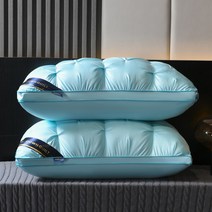 힐튼 5성급 호텔 100% 벨벳 다운 퀼트 베개 1200g 2개 숙면 필로우 7컬러, 라이트블루
