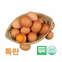 햇달걀3판 추천 순위 모음 50