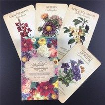 Lemuria Oracle 타로 카드 너머 데크 게임 가족 파티 놀이 엔터테인먼트 공장 가격, 44pcs TS80