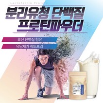 분리유청 락토프리프로틴 류신단백질 500g 근육보충제 프로틴파우더 대두단백 단백질분말, 3통(6~7주 분량 약 1.25개월분), 3개