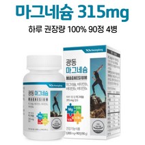 마그네슘 영양제 비타민b 1일 영양성분 기준치 100% 충족 마그네숨 알약케이스 증정, 4개, 90정