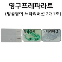 ㈜퓨쳐테크닉 영구 프레파라트(빵곰팡이 느타리버섯 2개1조)