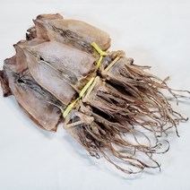 건어물광장 오징어 건오징어, 1축(20마리), 500g