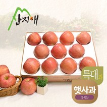[산지애] [2023햇사과] 알뜰 못난이사과(대과) 4kg 1box, 상세 설명 참조