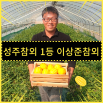 진짜 맛있는 참외만 보내드립니다.성주참외 16브릭스 3kg/5kg 참외10kg 이상준참외 산지직송, 5kg-중과