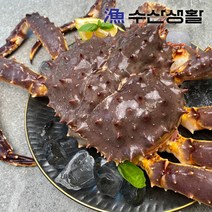 브랜드없음 [수산생활] 레드 킹크랩 1.8kg + 손질가위 증정, 단품없음