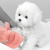 보니또크루 물기팡 손발쏙 펫타올 강아지 수건, 그린