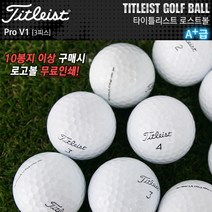 타이틀리스트 타이틀리스트 로스트볼 판매 Pro V13pc/10알/특A+급, Pro V1_3피스, 골프공
