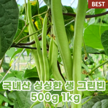국산 국내산 생 그린빈스 그린빈 1kg 500g 신선한 껍질채 먹는 콩 껍질 콩 그린빈 줄콩 롱빈 프린치 빈 스트링 빈 그린빈 줄기 콩