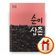 사은품증정) 순이 삼촌, ◆특별사은품/창비◈순이 삼촌◈