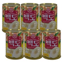 오뚜기 백도 복숭아 통조림 400g 6개