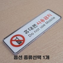 투명 케이스형 CCTV 보안카메라 녹화중 작동중 화장실 소화기 출입금지 금연 흡연 걸이형 부착형 당기세요 미세요 종류선택 1개, 휴대폰사용금지 소 2개입