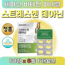 직장 스트래스 엘테아닌 릴렉스 캐모마일 홍경천 6통 식약처인정 긴장 완화 스트레스 판토텐산 아연 에 도움되는 영양제 진정 테아민 태아민 티아닌 대용량 공부원 시험 선물 성인, 6개