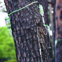 수간주사기 약제주입기 나무영양제주입 링거식 2노즐 키트, 단일옵션