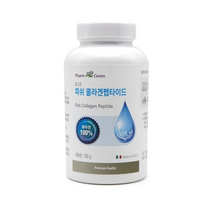팜그린 피쉬 콜라겐 펩타이드 200G 2병 COLLAGEN FISHCOLLAGEN 피쉬콜라겐