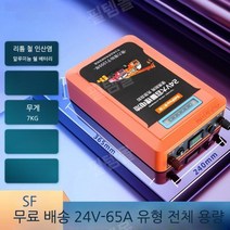 인산철 올인원 파워뱅크 배터리 보조 캠핑 100A 200A, 24V65A