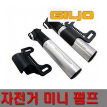 지요 마이크로펌프