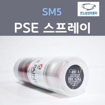 르노삼성 SM5 PSE 플래티늄실버 순은색 11 스프레이 자동차 차량용 카 페인트, 1개, 200ml
