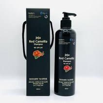 제주 동백 샴푸 300ml 탈모증상완화 기능성 화장품 보습 모발 약산성 케어