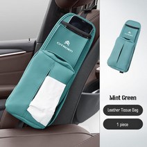 사이드포켓 수납함 차량틈새 정리함 시트로엥 C3 C5 C4 Berlingo Grand Picasso Jumper Saxo Jumpy C2 용, 01 Green