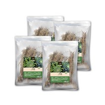 말린 건와송 생와송 바위솔 신탑 탑송 국내산 X 100g 4팩