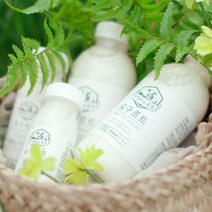 제주아침미소목장 아침미소목장 제주 한라봉 요거트세트(500ml 150ml), 단일옵션