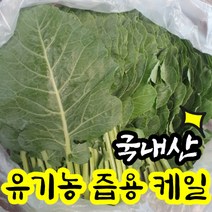[국산] 빅사이즈 유기농 케일 즙용 1kg 2kg 당일수확 산지직송 케일즙 녹즙재료 착즙 녹즙용 주스용 쥬스용 채소 클랜즈 샐러드 채소, 1개